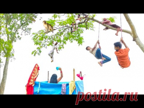 Must Watch New Special Comedy Video 2024 😎Totally Amazing Comedy Episode 98 by Tahalka funny