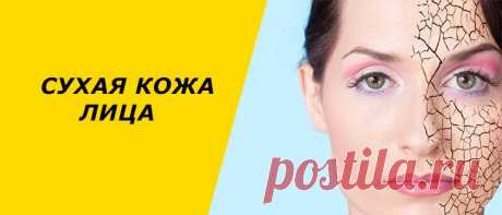 Что делать при сухой коже лица, правила ухода за возрастной кожей Почему у человека появляется сухость кожи лица. Способы избавиться от шелушения и раздражения. Как ухаживать за ксерозной кожей.