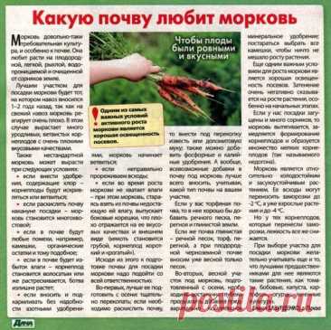 Какую почву любит морковь